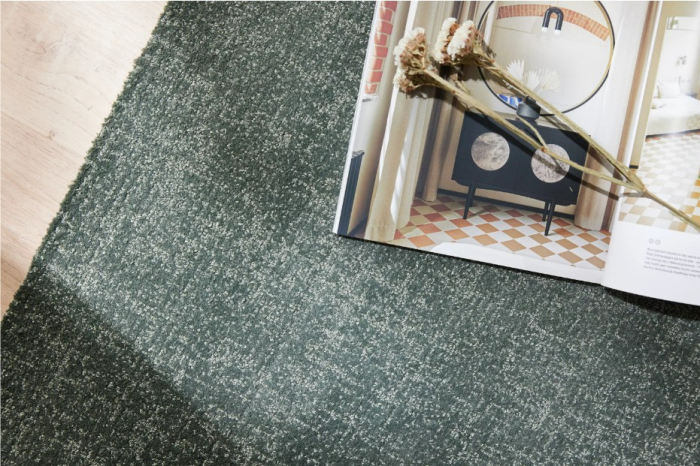 Covor 71501 Verde ieftin [2]