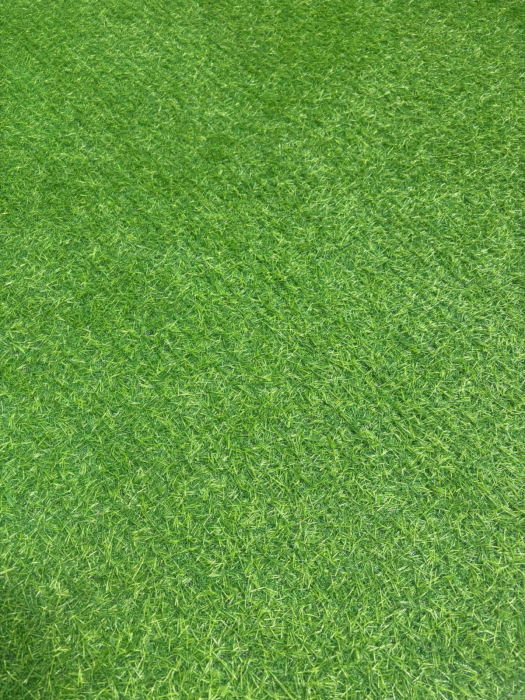 Covor Gazon Verde ieftin [6]