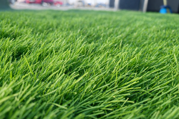 Covor Gazon Verde ieftin [7]