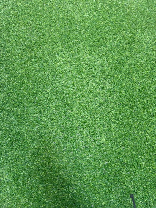 Covor Gazon Verde ieftin [9]