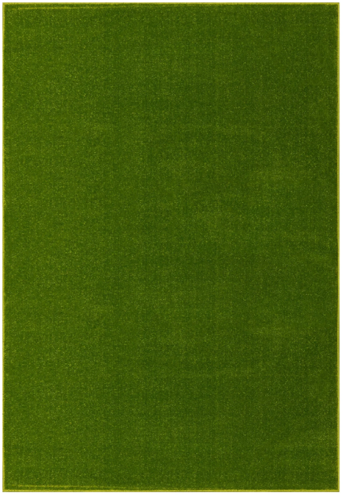 Covor Kolibri 11000 Verde 80x150 cm pentru living [7]