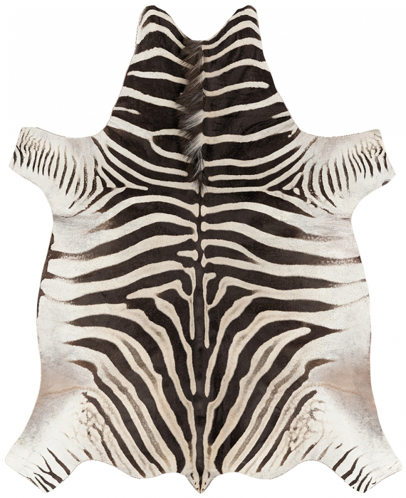 Covor Malmo P0180-035 Belgian 155x190 cm living [2]
