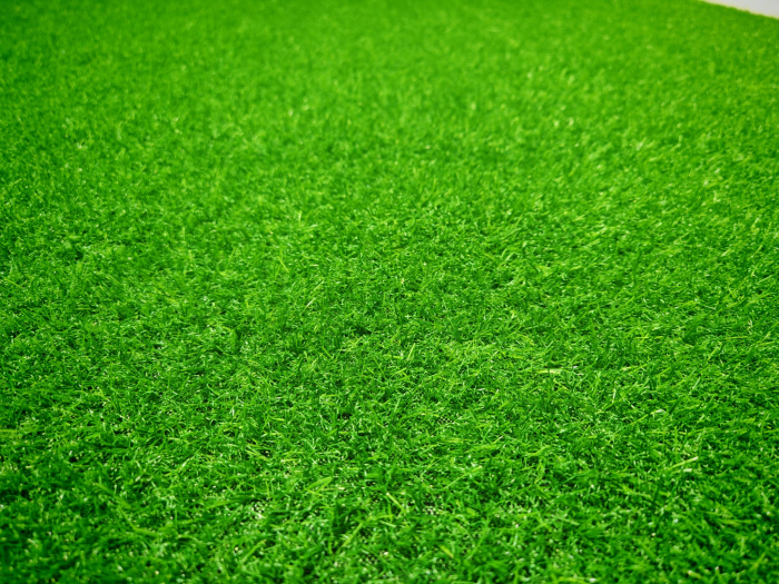 Gazon artificial, verde, 100 x 200 cm, antialergic [2]