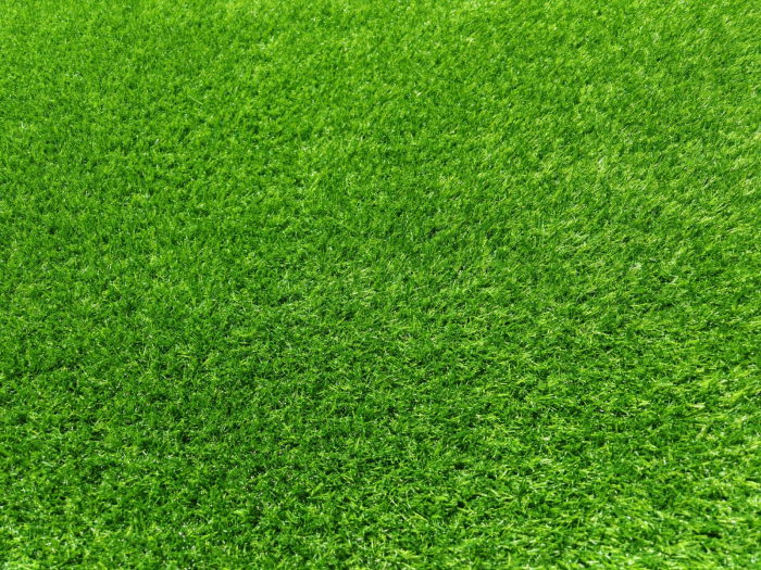 Gazon artificial Sri Lanka, verde, 100 x 200 cm, antialergic [8]