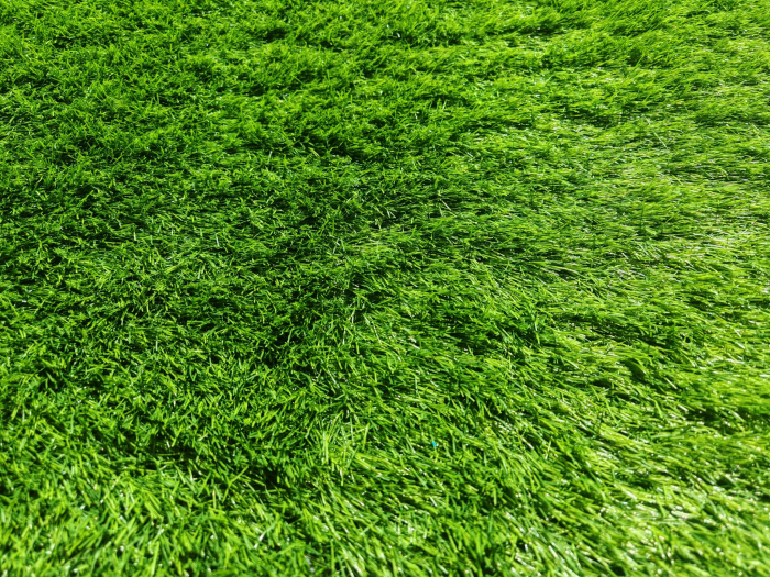 Gazon artificial Sri Lanka, verde, 100 x 200 cm, antialergic [9]