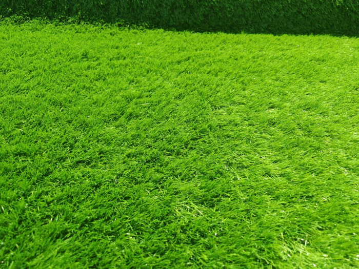 Gazon artificial, verde, 100 x 200 cm, antialergic [7]
