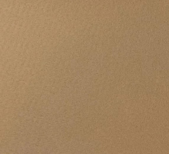 Mocheta Plat Beige 4962 200x200 cm Bej pentru hol [3]