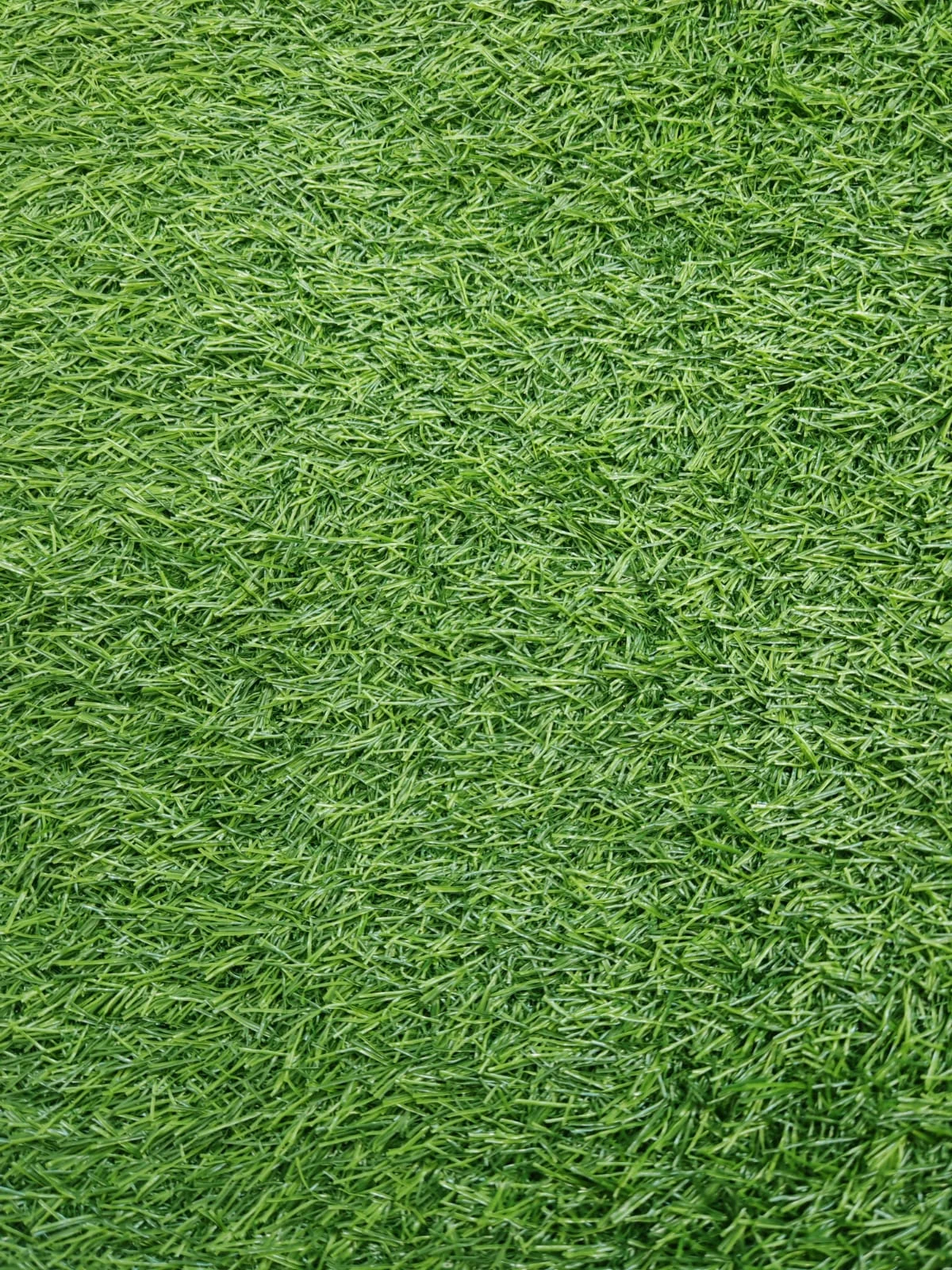 Covoare sub 200 lei - Gazon artificial Sri Lanka, verde, 100 x 200 cm, antialergic