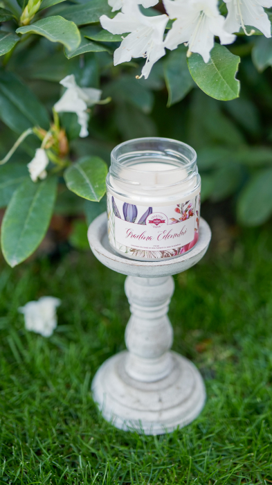 Grădina Edenului [5]