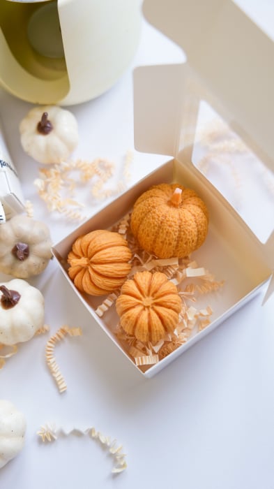 Wax Melts „Dovlecei de toamnă” [3]