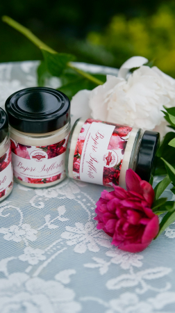 Bujori înfloriți [1]