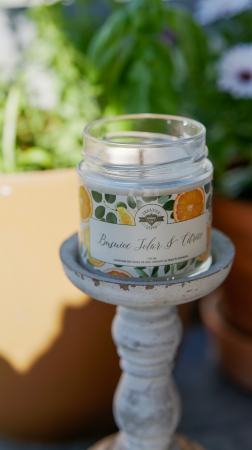 Busuioc Solar și Citrice [3]