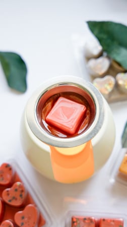 Wax Melts - Difuzor pentru wax melts