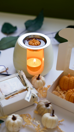 Difuzor pentru wax melts [2]