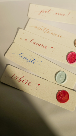 Obiecte decorative - Semn de carte