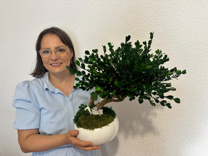 BONSAI NATURAL STABILIZAT IN VAS CERAMIC ALB [1]