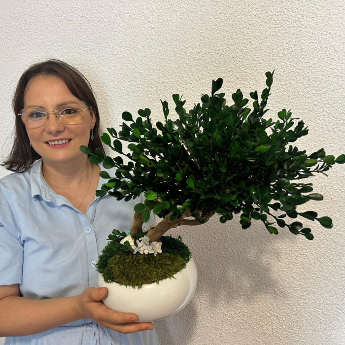 BONSAI NATURAL STABILIZAT IN VAS CERAMIC ALB [2]