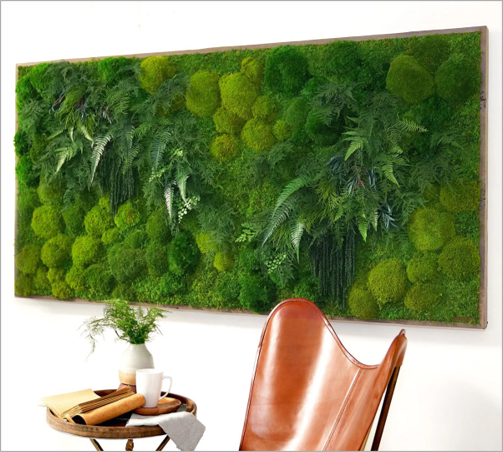 NATURE FOREST - TABLOU DECORATIV NATURAL STABILIZAT PENTRU PERETE [1]