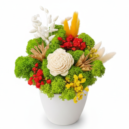 Aranjamente Florale - Aranjament Atemporal - Floare Ming în Vază Ceramică Atelierul Creative Harmony