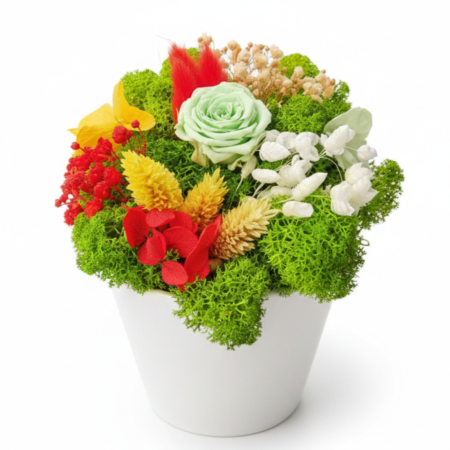 Aranjamente Florale - Aranjament Green Serenity - Trandafir Criogenat, Licheni Cu Contrast Roșu-Galben | Atelierul Creative Harmony