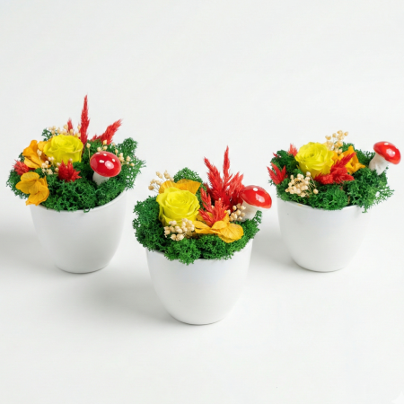 Mărțișoare și Cadouri 1-8 Martie - Aranjament Lucky Charm – Trandafir Criogenat Verde Lime, Hortensie și Licheni Atelierul Creative Harmony