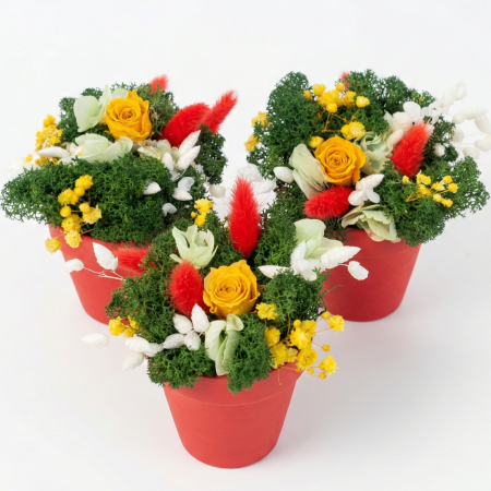 Mărțișoare și Cadouri 1-8 Martie - Aranjament Royal Bloom - Trandafir Criogenat Galben, Hortensie și Licheni Atelierul Creative Harmony