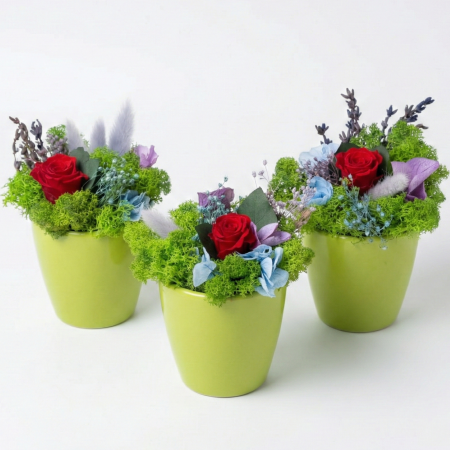 Aranjamente Florale - Aranjament Royal Garden - Trandafir Criogenat Roșu, Licheni în Vază Lime Atelierul Creative Harmony