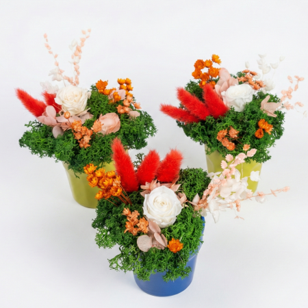 Mărțișoare și Cadouri 1-8 Martie - Aranjament Spring Energy -  Trandafir Criogenat Alb, Licheni în Vază Lime (Preț per bucată)