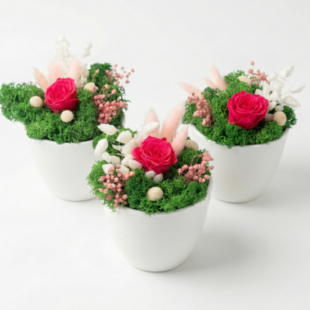 Aranjamente Florale - Aranjament  Sweet Bonbon - Trandafir Criogenat Roz Intens, Hortensie și Licheni Atelierul Creative Harmony