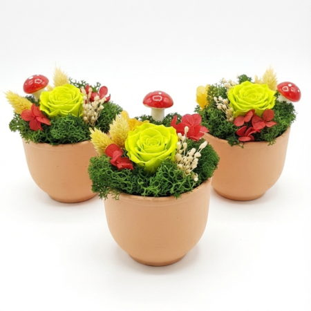 Mărțișoare și Cadouri 1-8 Martie - Aranjament Lucky Charm - Trandafir Criogenat Verde Lime, Ciupercuță și Licheni Atelierul Creative Harmony