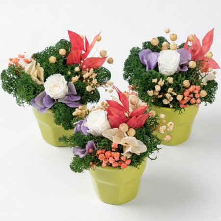 Mărțișoare și Cadouri 1-8 Martie - Aranjament Urban Nature - Trandafir Criogenat Alb, Flori Stabilizate și Licheni Vaza Lime Atelieruul Creative Harmony