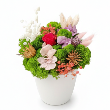 Aranjamente Florale - Aranjament Vibrant Rose - Trandafir Criogenat Pink și Bază de Licheni în Vas Alb Atelierul Creative Harmony