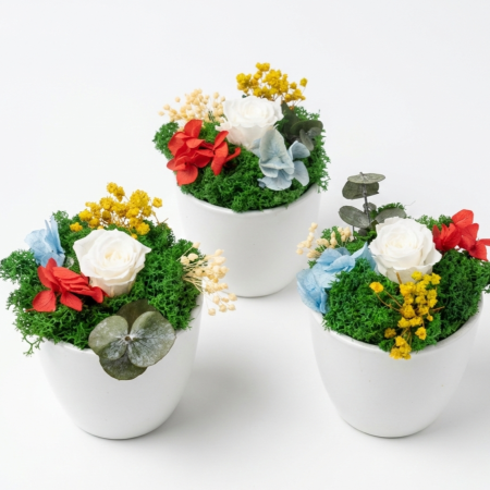 Aranjamente Florale - Aranjament White Pearl - Trandafir  Criogenat Alb, Hortensie și Licheni Atelierul Creative Harmony