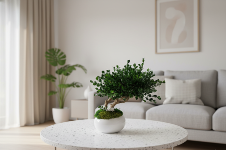 BONSAI NATURAL STABILIZAT IN VAS CERAMIC ALB [1]