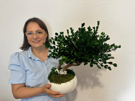 ARANJAMENTE FLORALE - BONSAI NATURAL STABILIZAT IN VAS CERAMIC ALB