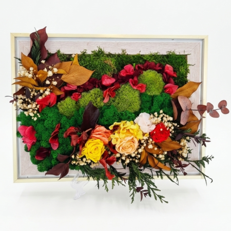 Tablouri Cu Licheni - NOBILIS - TABLOU DECORATIV CU LICHENI, FLORI CRIOGENATE SI PLANTE NATURALE