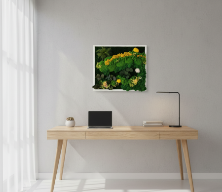 RAZA DE SOARE - TABLOU DECORATIV CU LICHENI, FLORI CRIOGENATE SI PLANTE NATURALE [1]