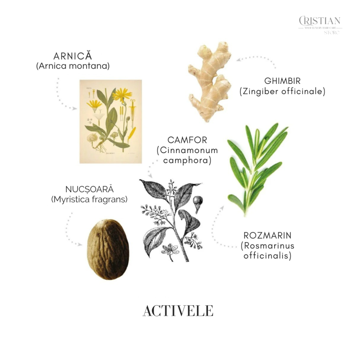 Sampon Anticadere Femei Medavita Lotion Concentree - Stimulare Circulatie [3]