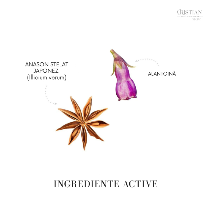 Scrub Detox Scalp si Fata Medavita Cutis Pura - Argila Rosie si Cuart [3]