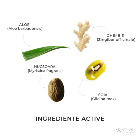 Sampon Profesional Antisebum Medavita Requilibre - Tratament Scalp Gras si Seboreic [2]