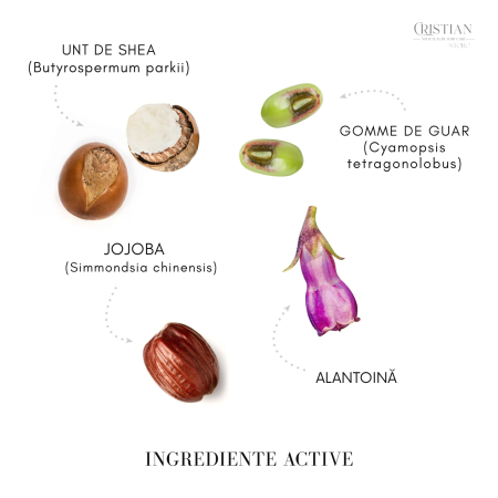 Microemulsie Leave-in Medavita Nutrisubstance - Spray Nutritiv Unt de Shea [2]