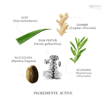 Sampon Antimatreata Medavita Puroxine - Purificare cu Tea Tree [2]