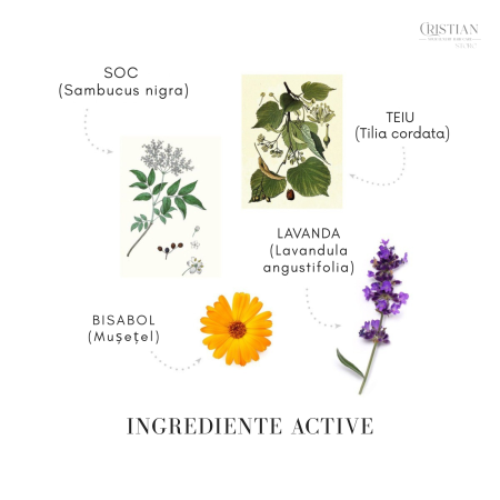 Sampon Calmant Medavita Velour - Scalp Sensibil si Lavanda [2]