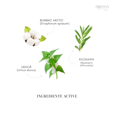 Sampon Volum Medavita Hairchitecture - Bumbac Arctic si Ceramide [3]