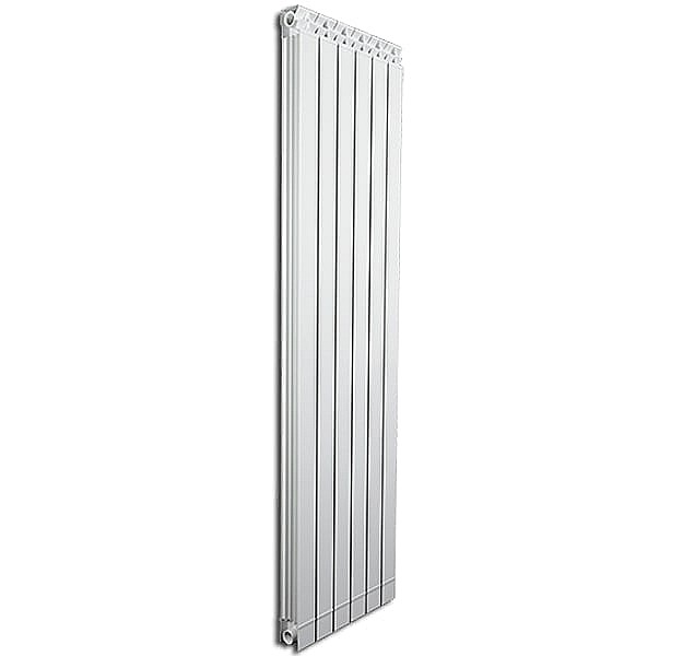 ELEMENT ALUMINIU RADIATOR FONDITAL ALTERNUM 2000 [2]