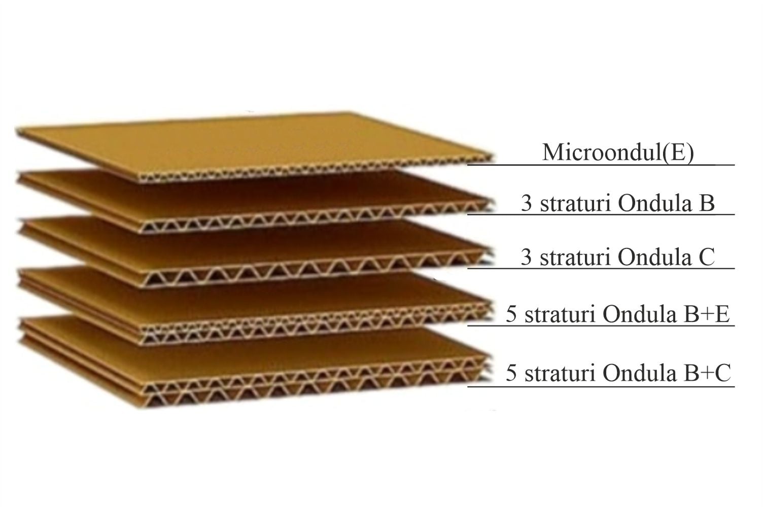 Cum alegi tipul potrivit de carton: 3 straturi vs 5 straturi vs microondul