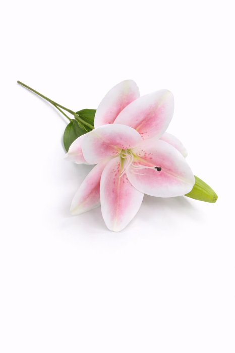 Crin artificial alb cu accente discrete roz, 2 flori si boboc pe fir unic 63 cm [2]