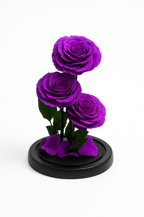 Trandafiri Mov Criogenati sub Cupola din Sticla, 23x14 cm, Aranjament Cadou Premium [2]