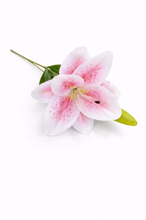 Crin artificial alb cu roz elegant, 2 flori si boboc pe fir unic 63 cm [3]