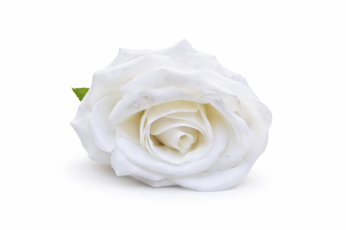 Trandafir artificial alb cu petale catifea 50 cm diametru floare 8-9 cm [2]